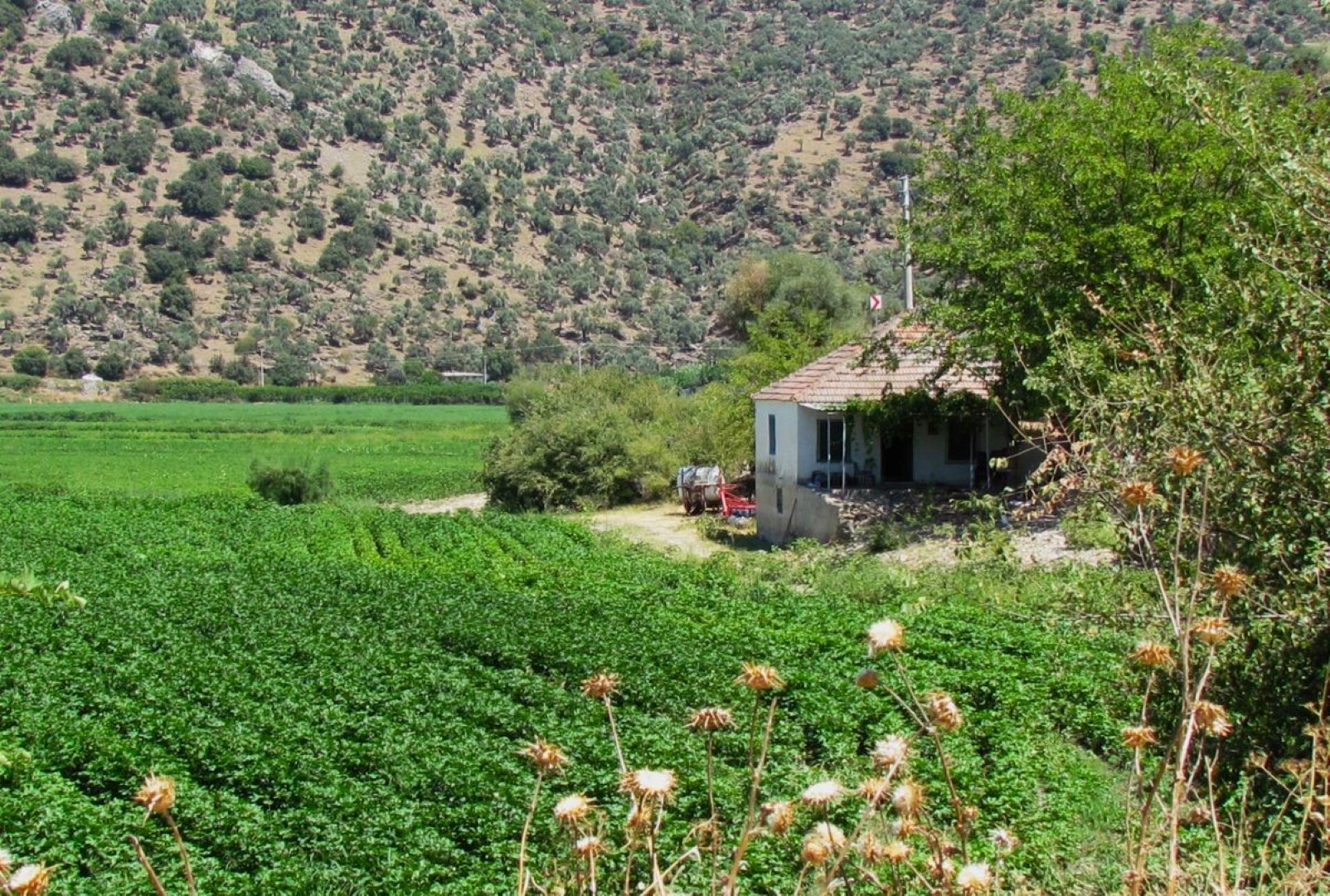 Ekodosd Başkanı Sürücü’den ‘Sahip Çıkın’ Uyarısı (2)