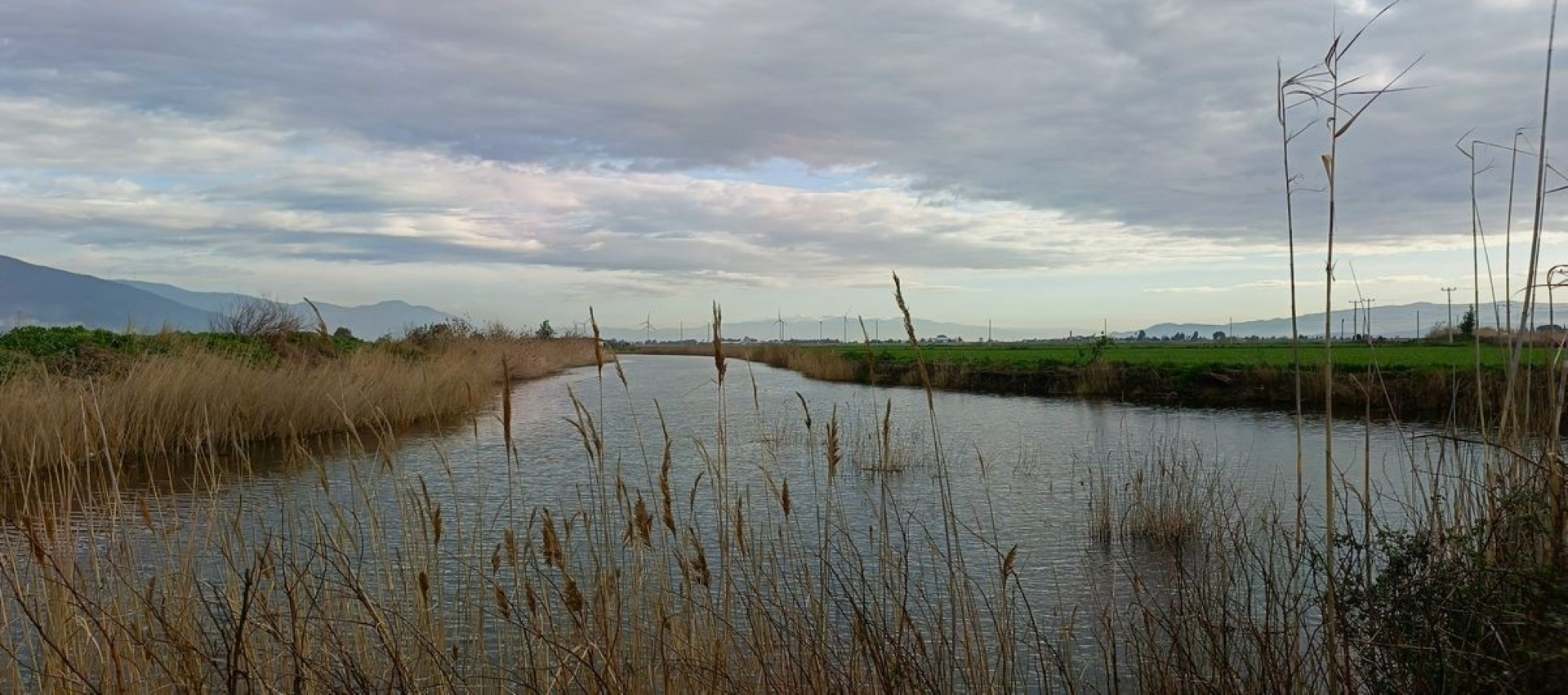 Ekodosd Başkanı Sürücü’den ‘Sahip Çıkın’ Uyarısı (3)