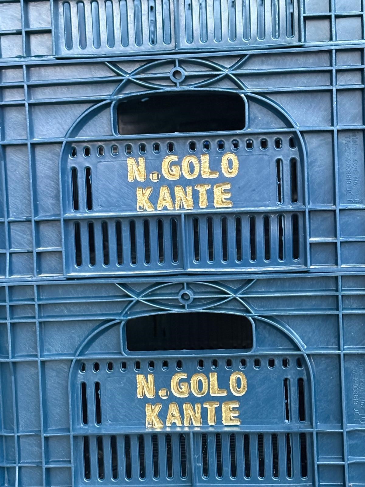 Fenerbahçeli ‘Kante'ye Ilginç Sevgi Gösterisi (1)