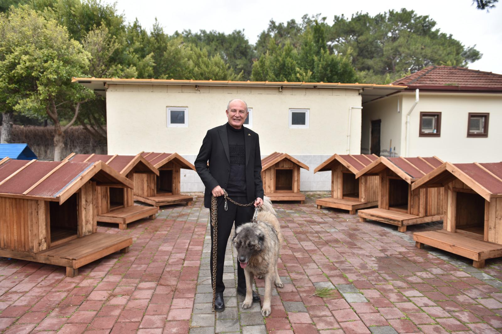 Kepez Belediyesi Sokak Hayvanlarına Yuva Oldu (2)
