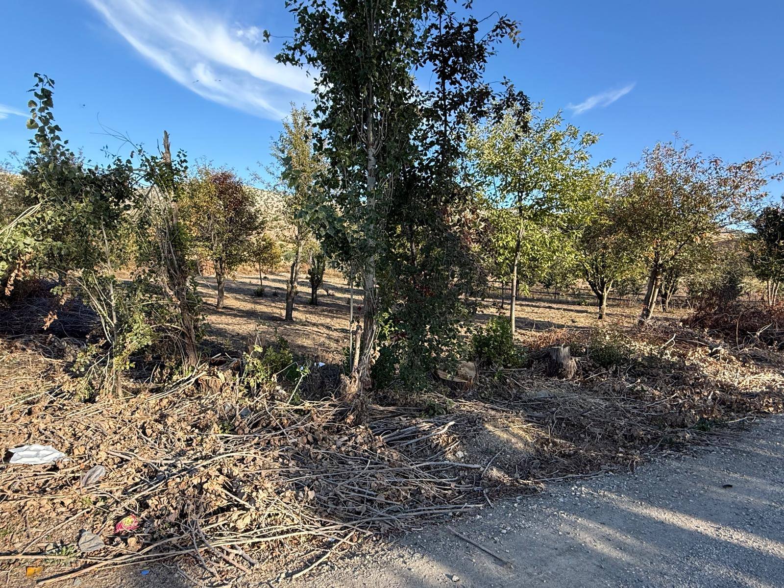 Kepez’in Sorunları Chp Heyetinde (3)