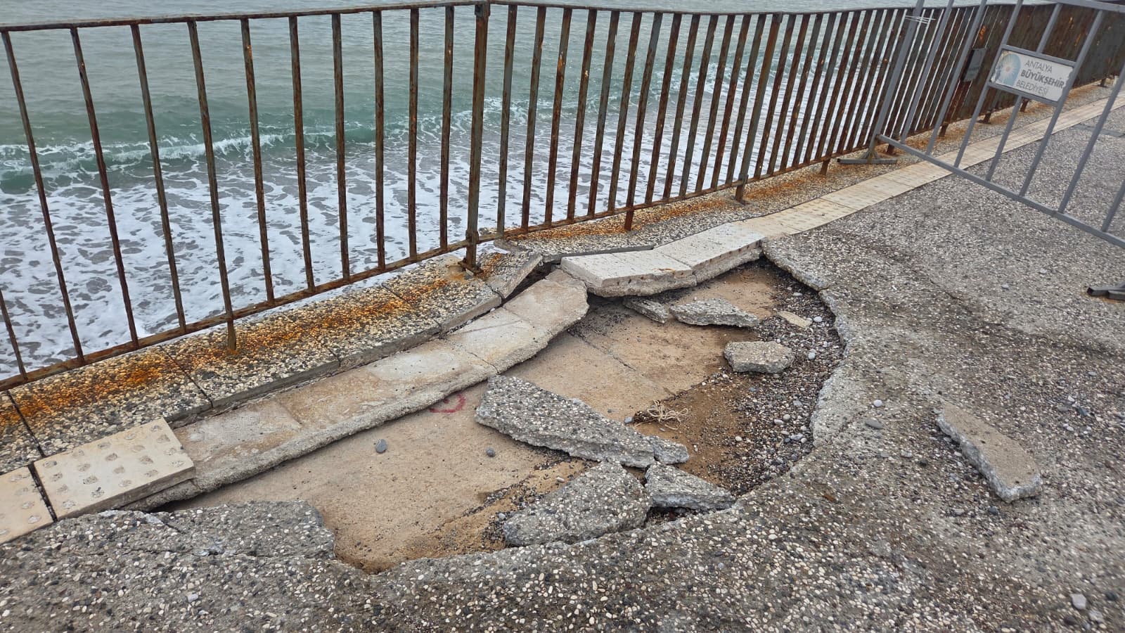 Konyaaltı Sahilinde Çatlak Çilesi (1)