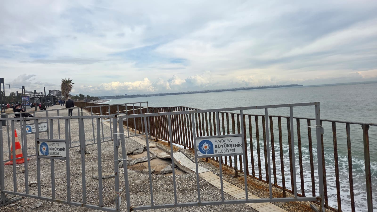 Konyaaltı Sahilinde Çatlak Çilesi (2)