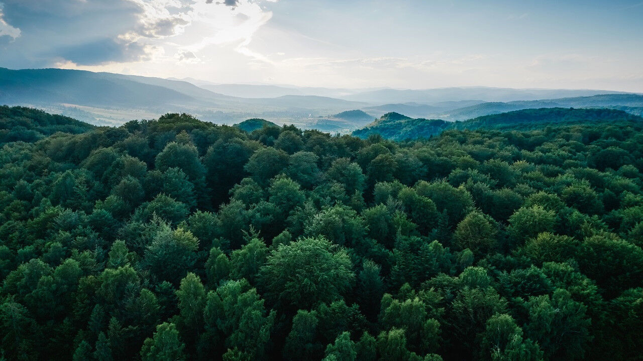 Orman Alani Daraltma Antalya Barosu Tepki (1)