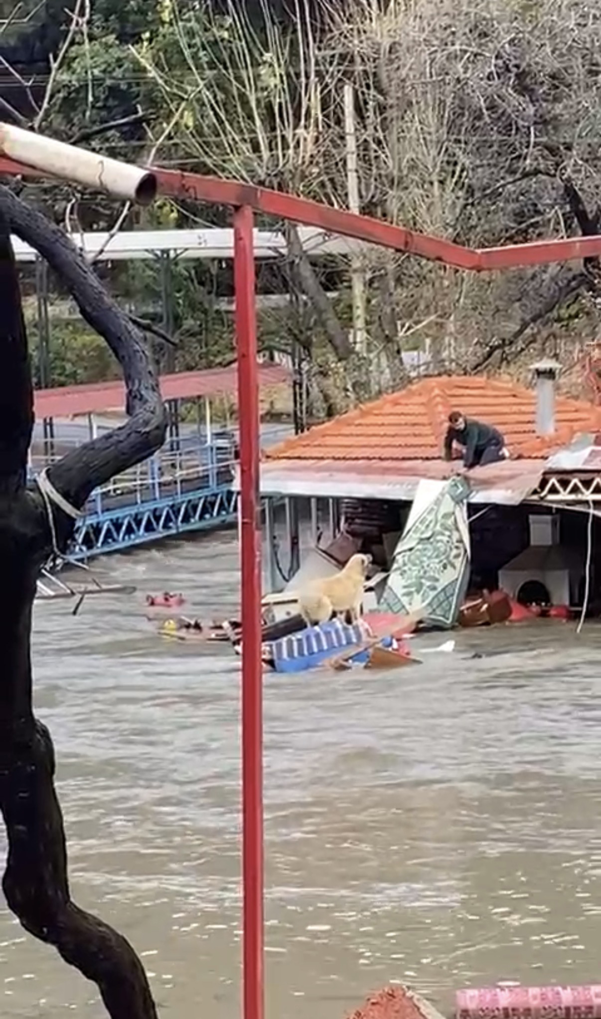 Paşa'yı Canı Pahasına Korudu, Akıntıya Kapılmaktan Son Anda Kurtardı (5)