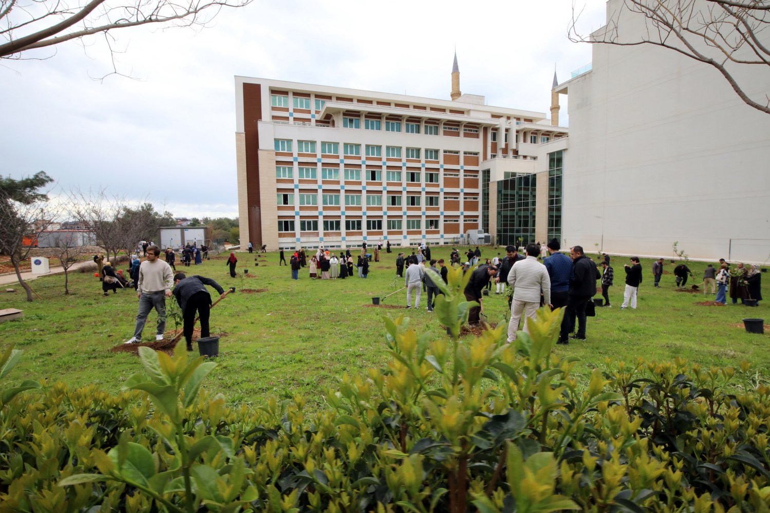 Rektör Özkan, İlahiyat Fakültesi’nde Ağaç Dikti, Gazze Sergisini Gezdi (1)