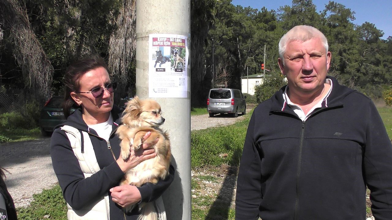 Rus Çift, Kaybolan Köpeklerini Bulana 100 Bin Lira Ödül Verecek (2)