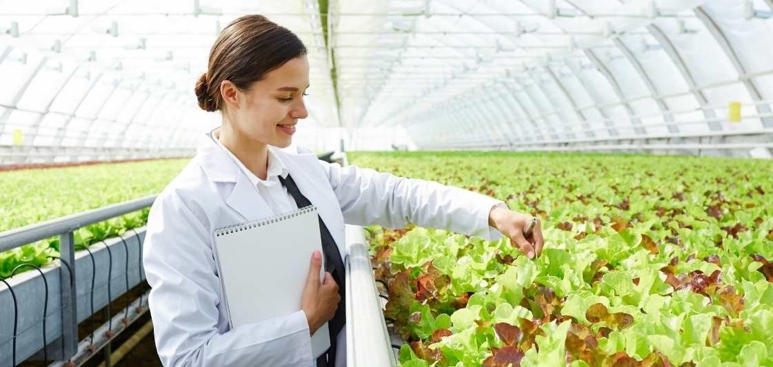 Rusya’yı Antalya’nın Ziraat Mühendisleri Geliştiriyor (3)