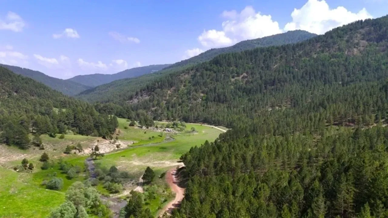 Serafettin Kilic Milli Parklar Kanunu (6)