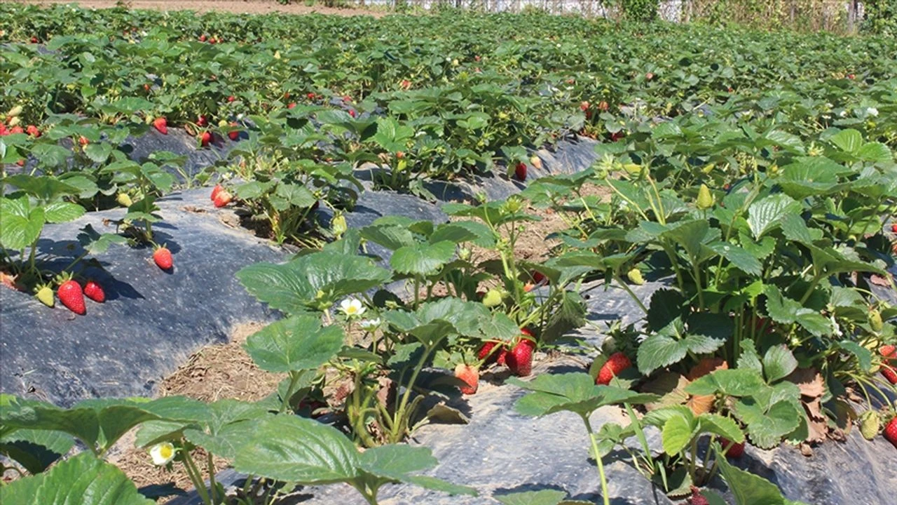 Serafettin Kilic Uretim Merkezli Ekonomi Cagrisi.webp (1)