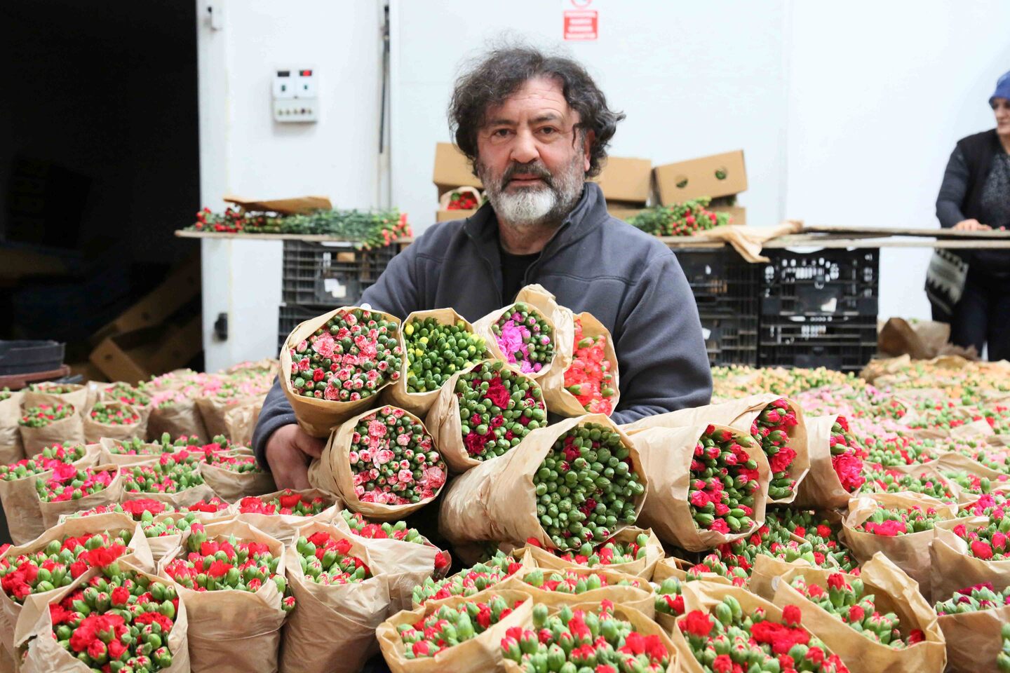 Türk Çiçeğinde 160 Milyon Dolarlık Ihracat Rekoru (5)