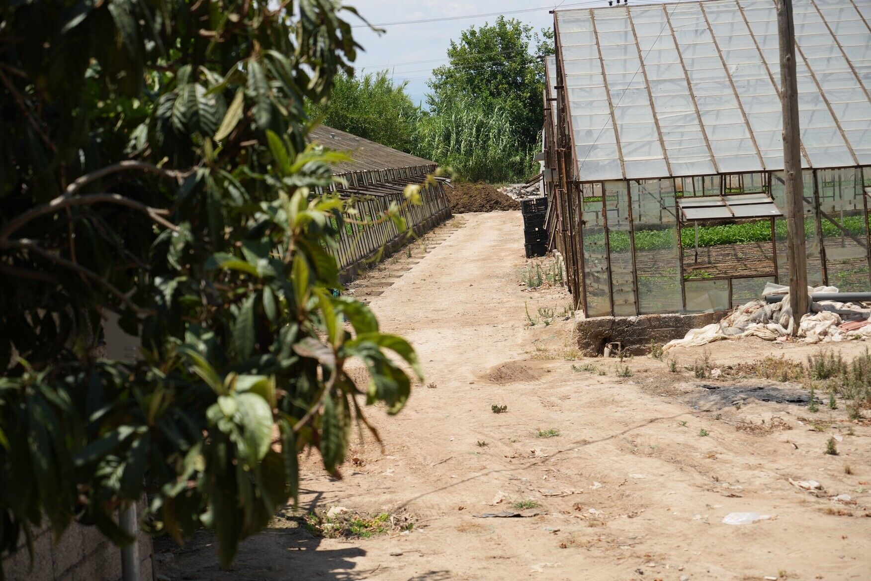 Türkiye, Antalya Kadar Alanı Kaybetti (1)