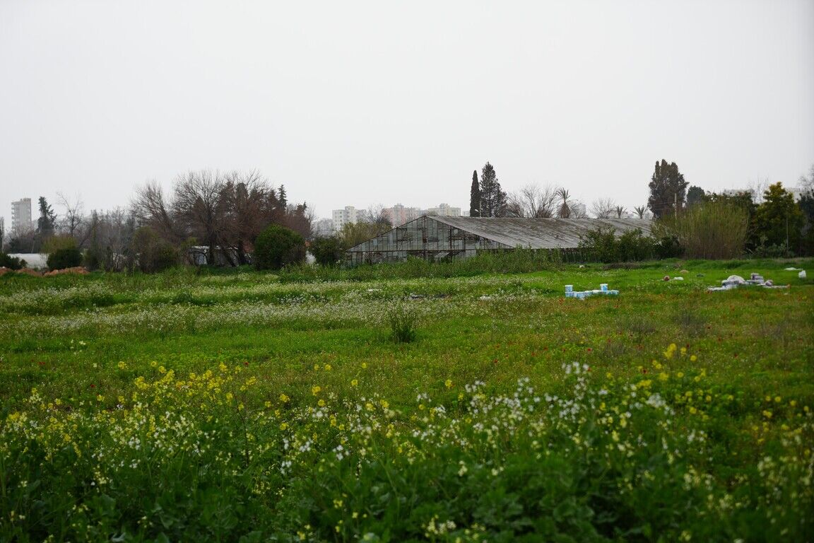 Türkiye, Antalya Kadar Alanı Kaybetti (3)-1