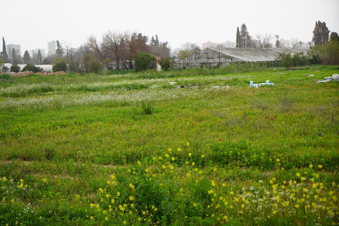 Türkiye, Antalya Kadar Alanı Kaybetti (4)-1
