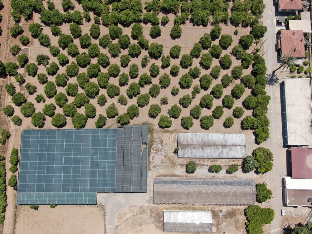 Türkiye, Antalya Kadar Alanı Kaybetti (5)-1