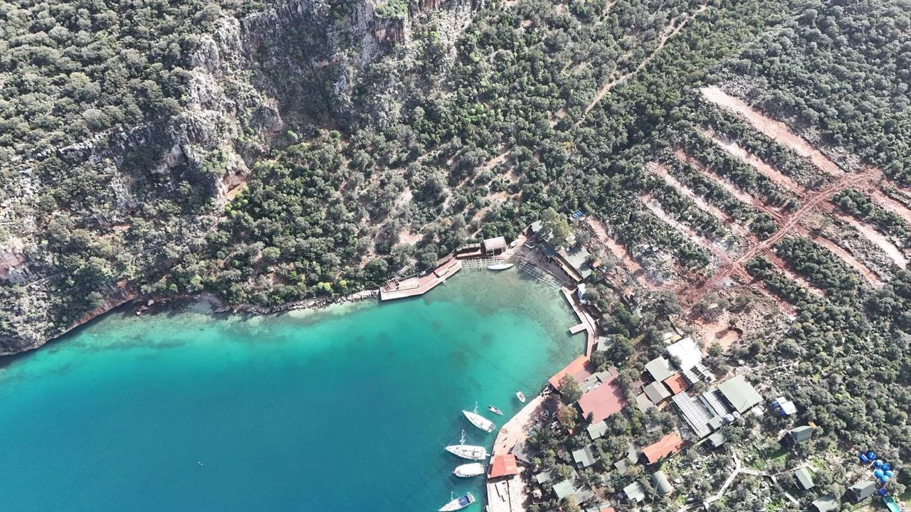 Wwf Türkiye’den Erkan Mumcu Tepkisi (2)