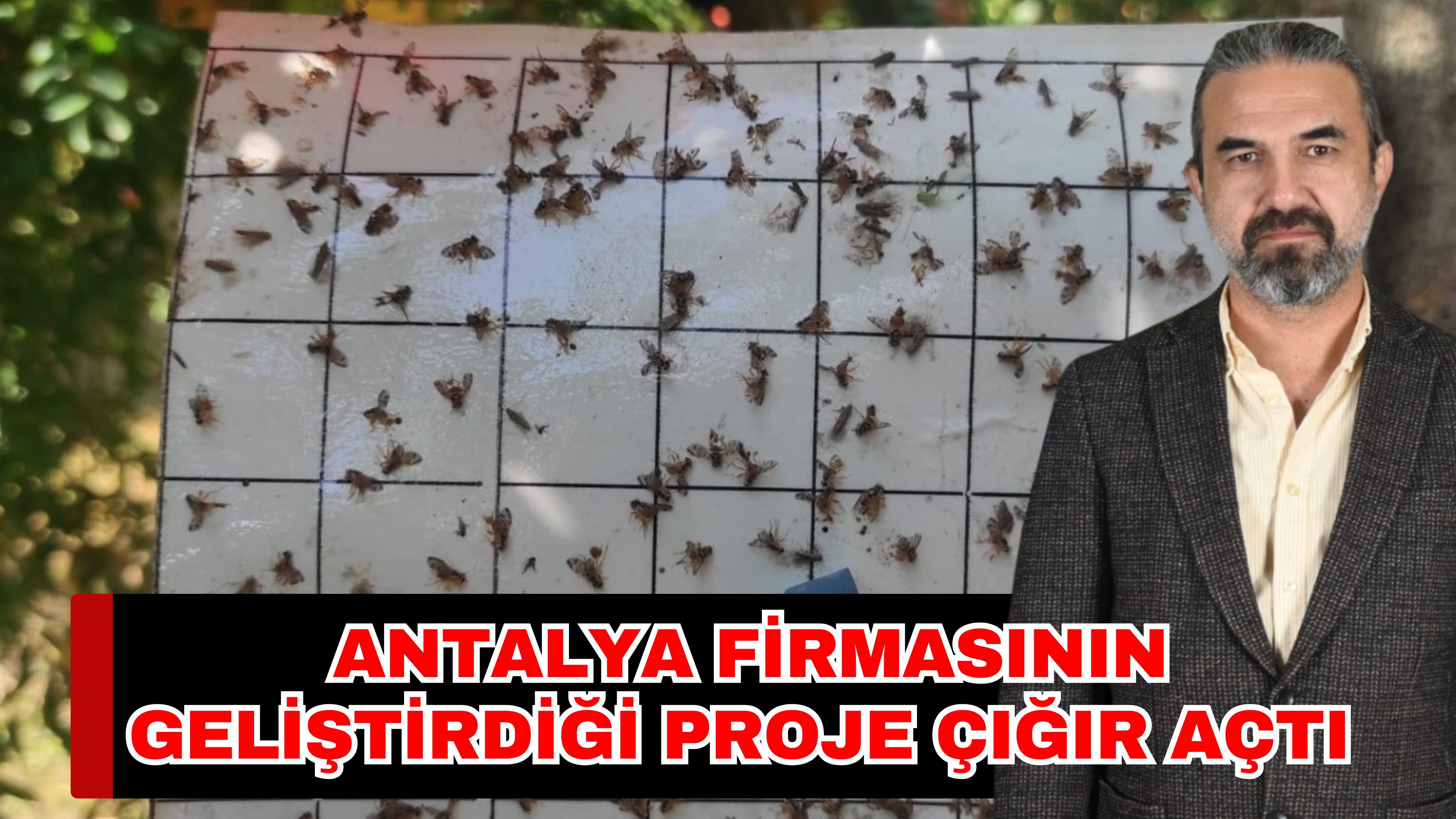 Antalya firmasının geliştirdiği proje çığır açtı