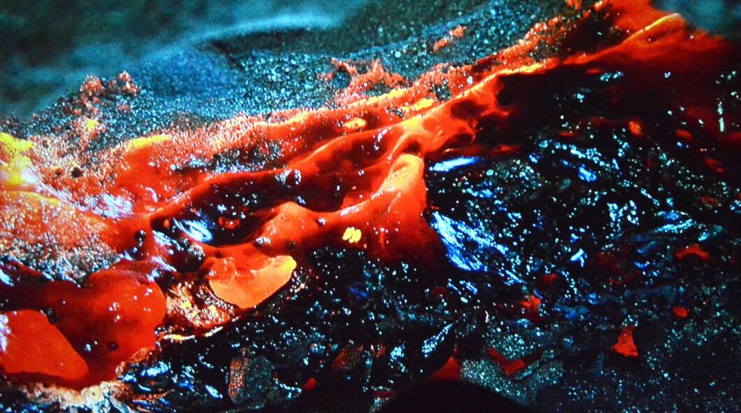 Acar'dan Çok Özel Kareler (4)-1