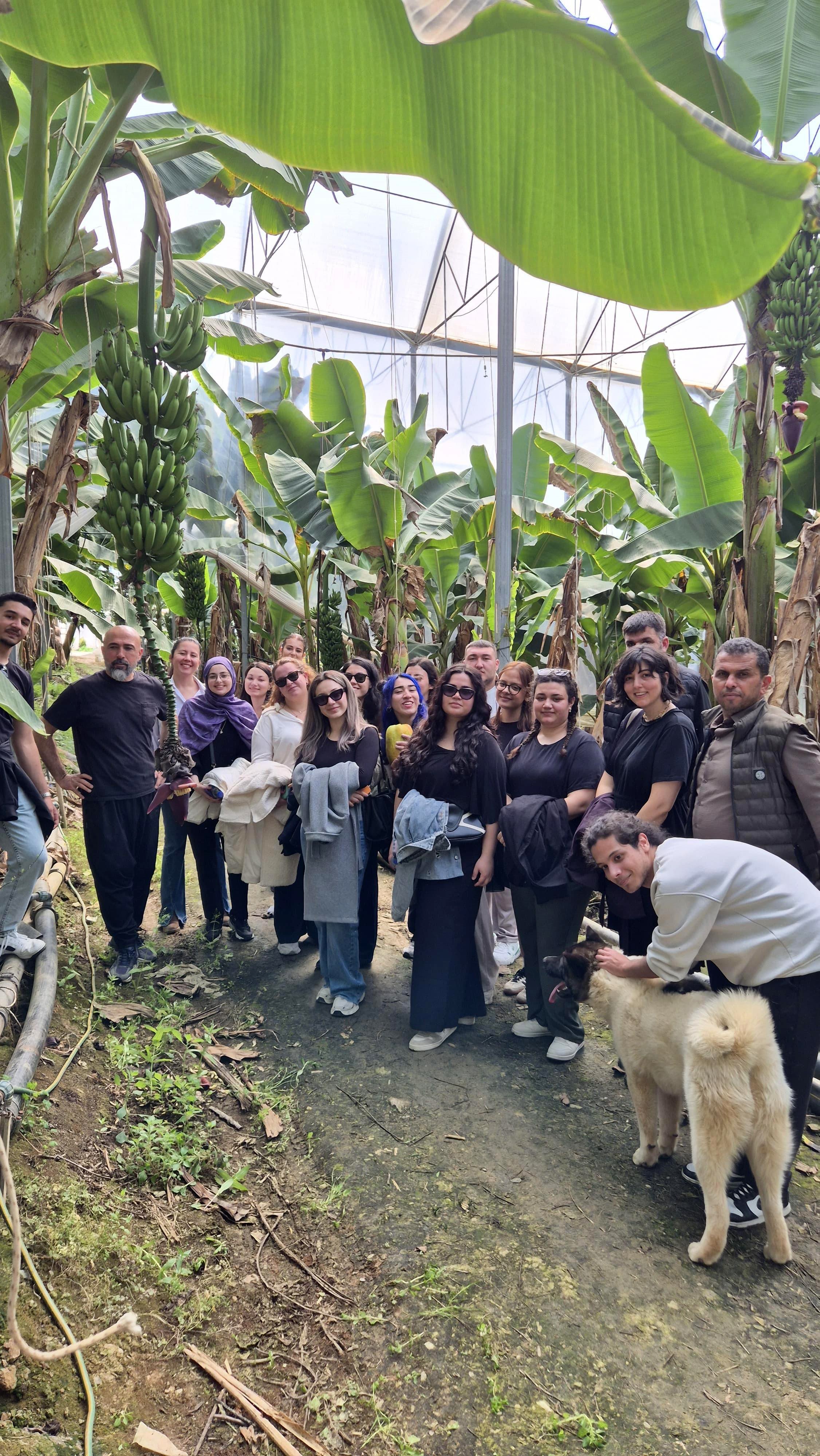 Alanya'da Üniversiteli Öğrencilerden Tropikal Bahçelere Teknik Gezi (3)