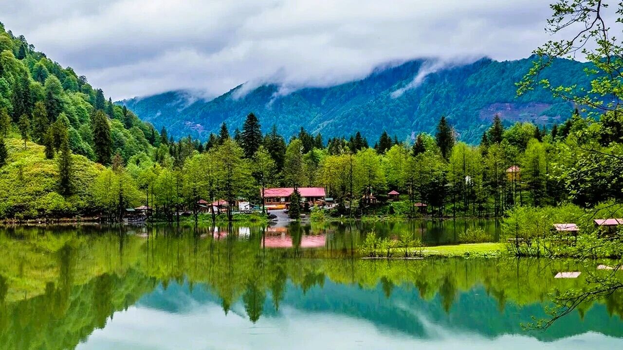 Aliye Cosar Milli Parklar (1)