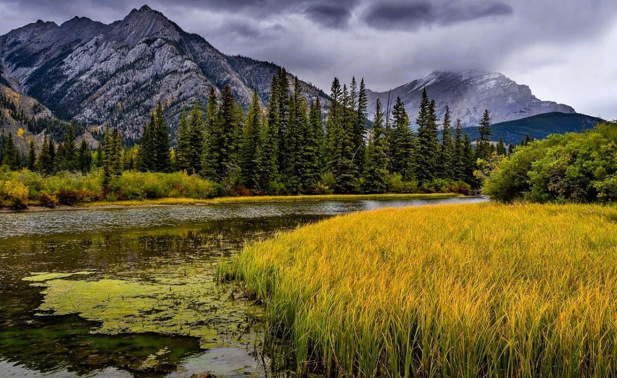 Aliye Cosar Milli Parklar (2)