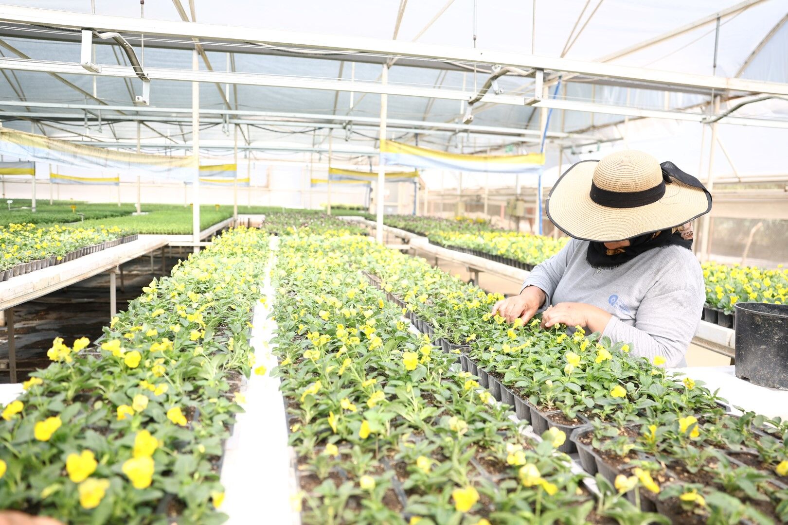 Antalya Bahara 4 Milyon Lira Ile Hazırlanıyor (2)