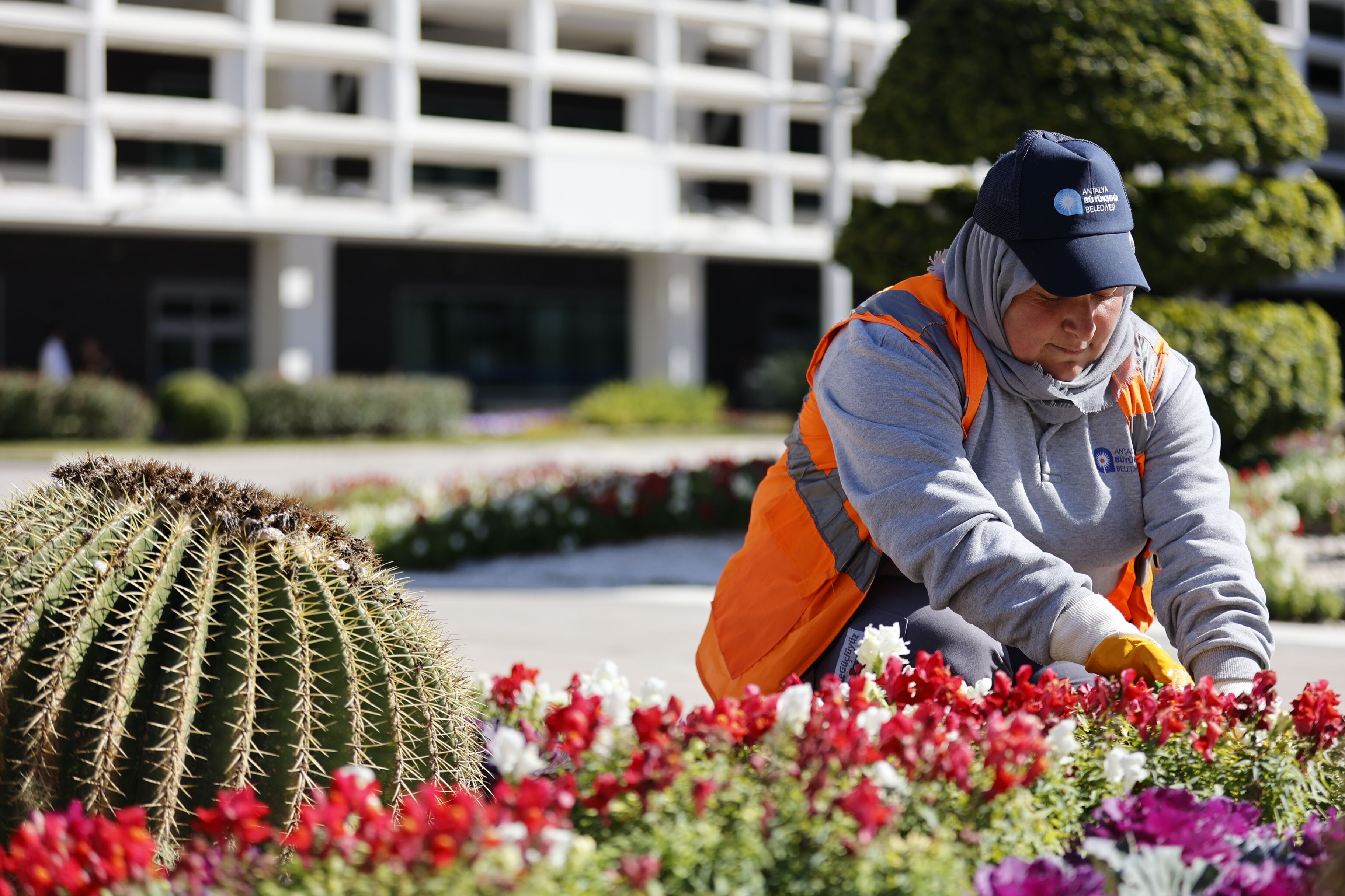 Antalya Büyükşehir Belediyesi Ile Şehre Kadın Eli Değiyor (6)