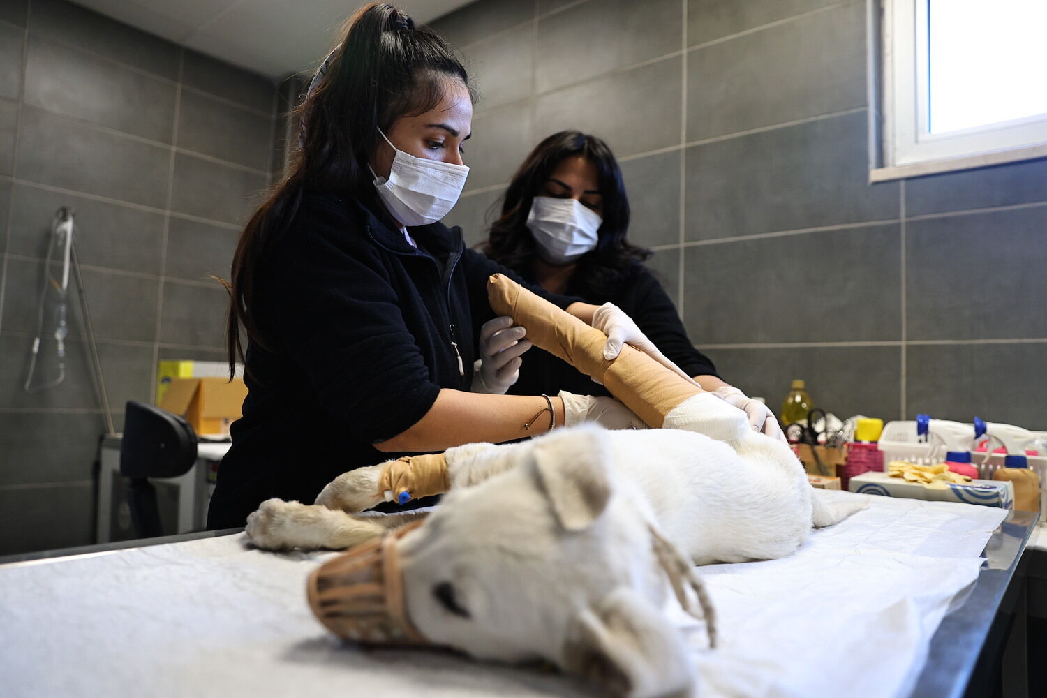 Antalya Büyükşehir Belediyesi’nde Kadınlar Şehre Yön Veriyor (6)