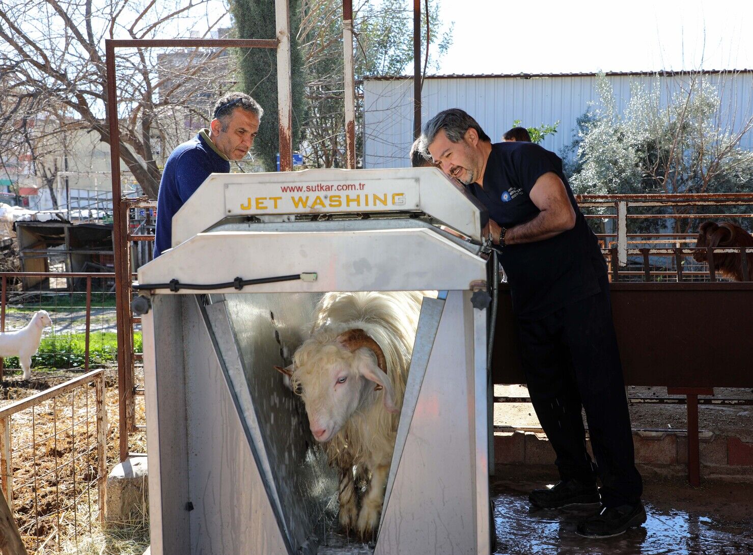 Antalya Büyükşehir Belediyesi’nin Ücretsiz Hizmeti Hastalıkları Azalttı (3)