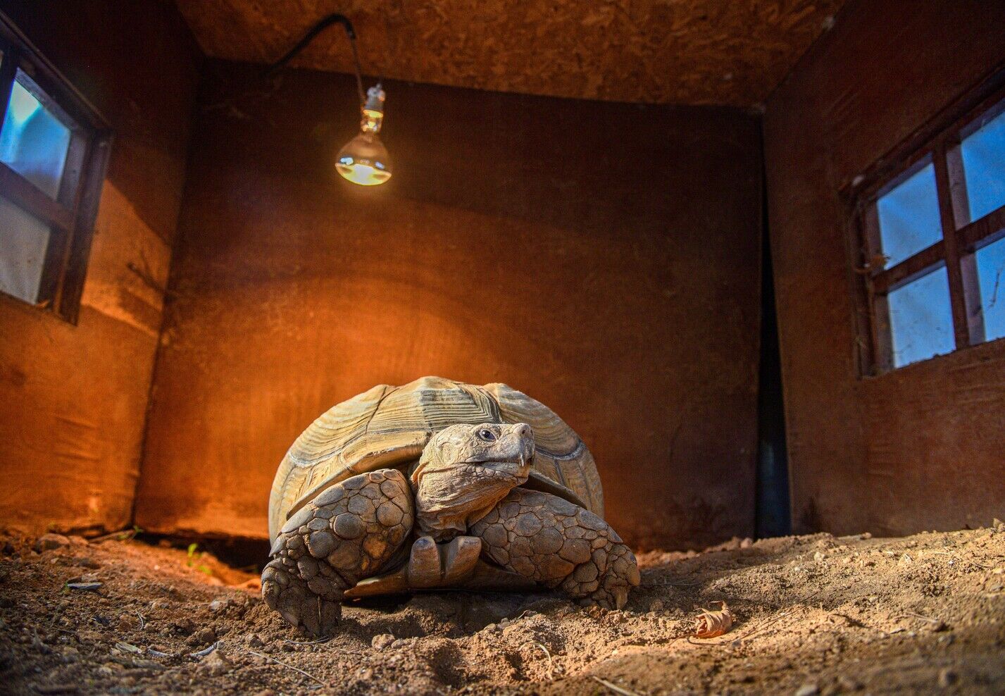 Antalya Dogal Yasam Parkindan Arkadas Cagrisi (4)