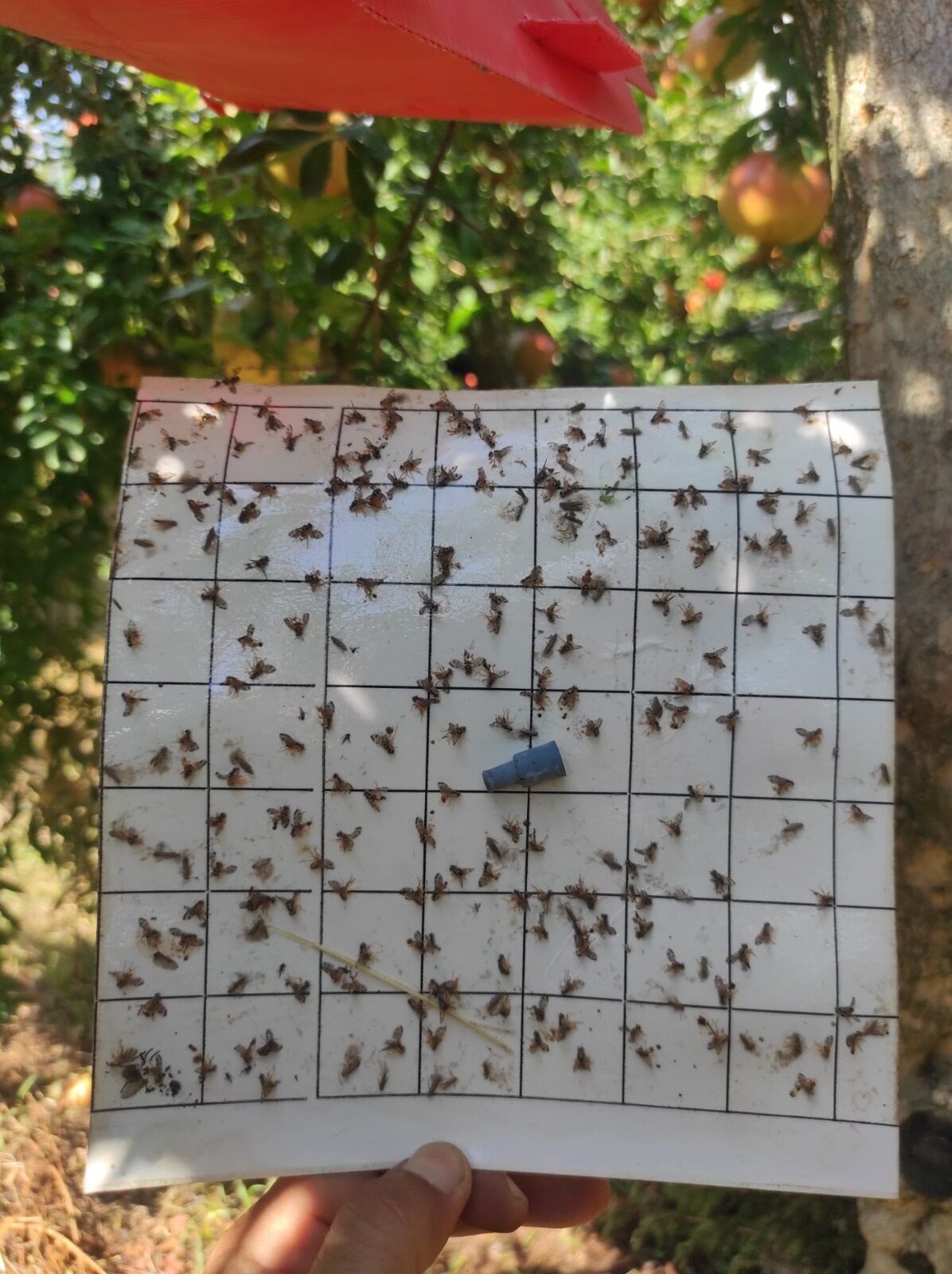 Antalya Firmasını Geliştirdiği Proje Çığır Açtı (2)