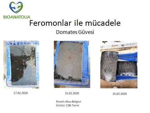 Antalya Firmasını Geliştirdiği Proje Çığır Açtı (3)