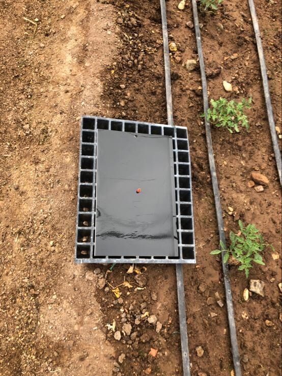 Antalya Firmasını Geliştirdiği Proje Çığır Açtı (4)