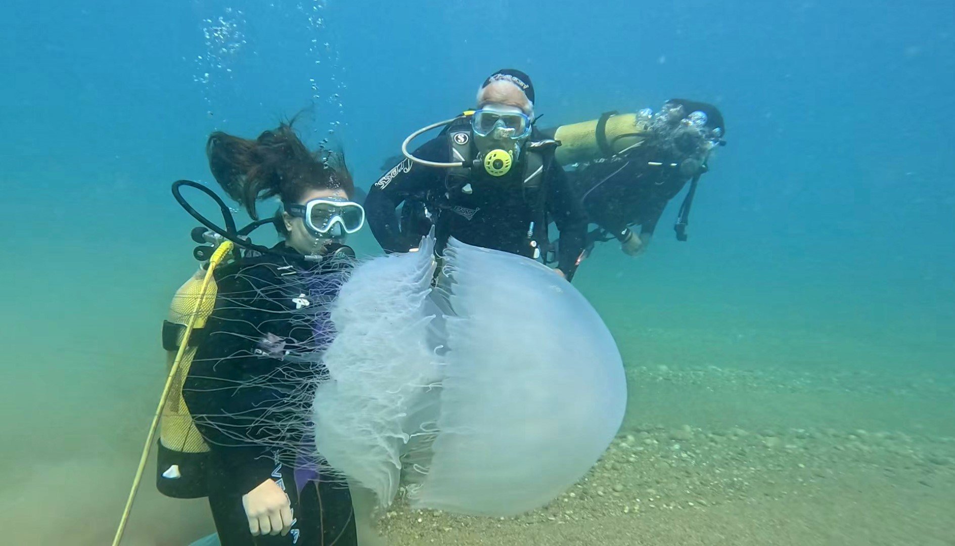 Antalya Sahillerinde Büyük Denizanaları Görüntülendi (2)