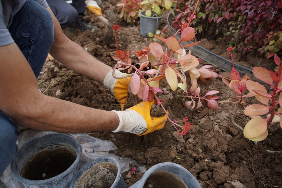 Antalya Sokaklarındaki Düzenleme Tasarruf Sağlayacak (3)