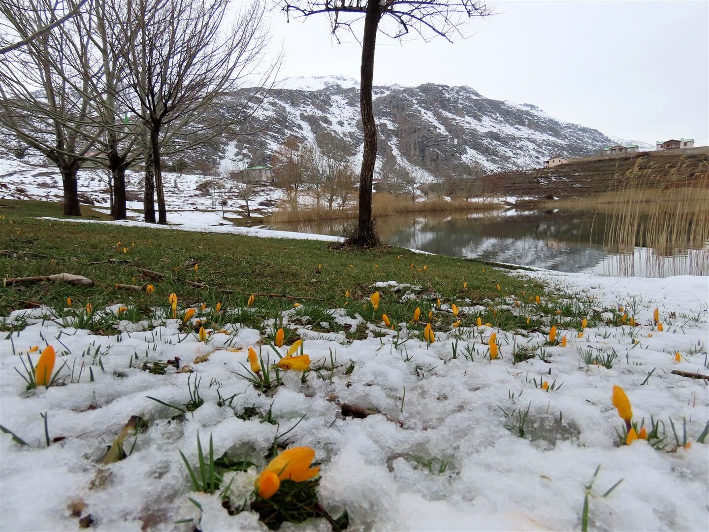 Antalya Yaylalarında Kartpostallık Görüntü Çiçekler Açtı (6) (Large)
