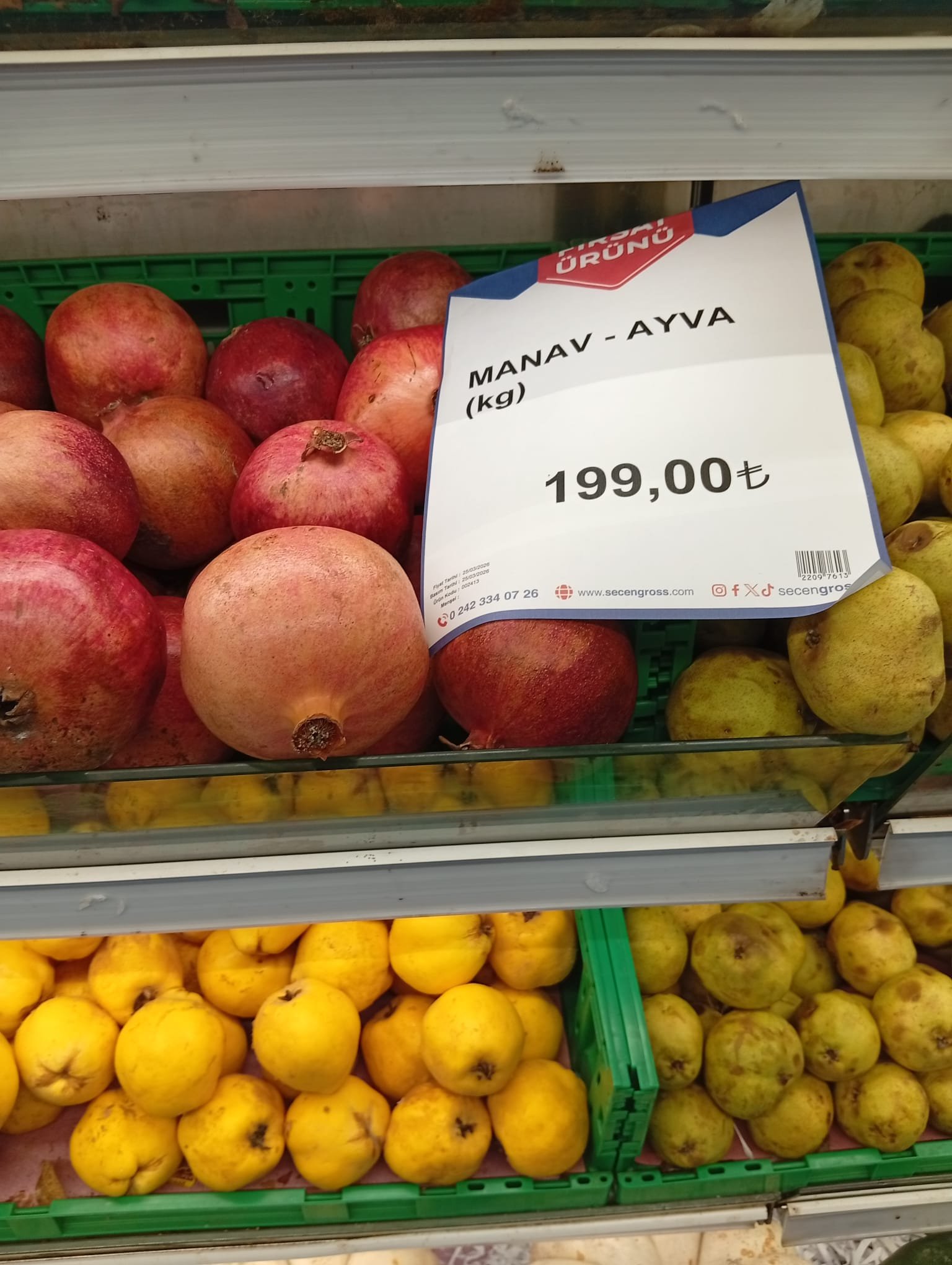 Antalya’da 2 Adet Ayvanın Fiyatı 100 Tl’ye Dayandı (2)