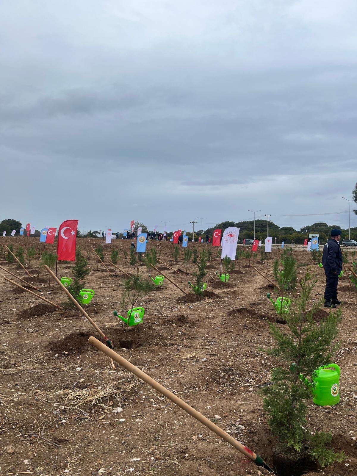Antalyada 25 Bin Fidan Toprakla Buluştu (4)