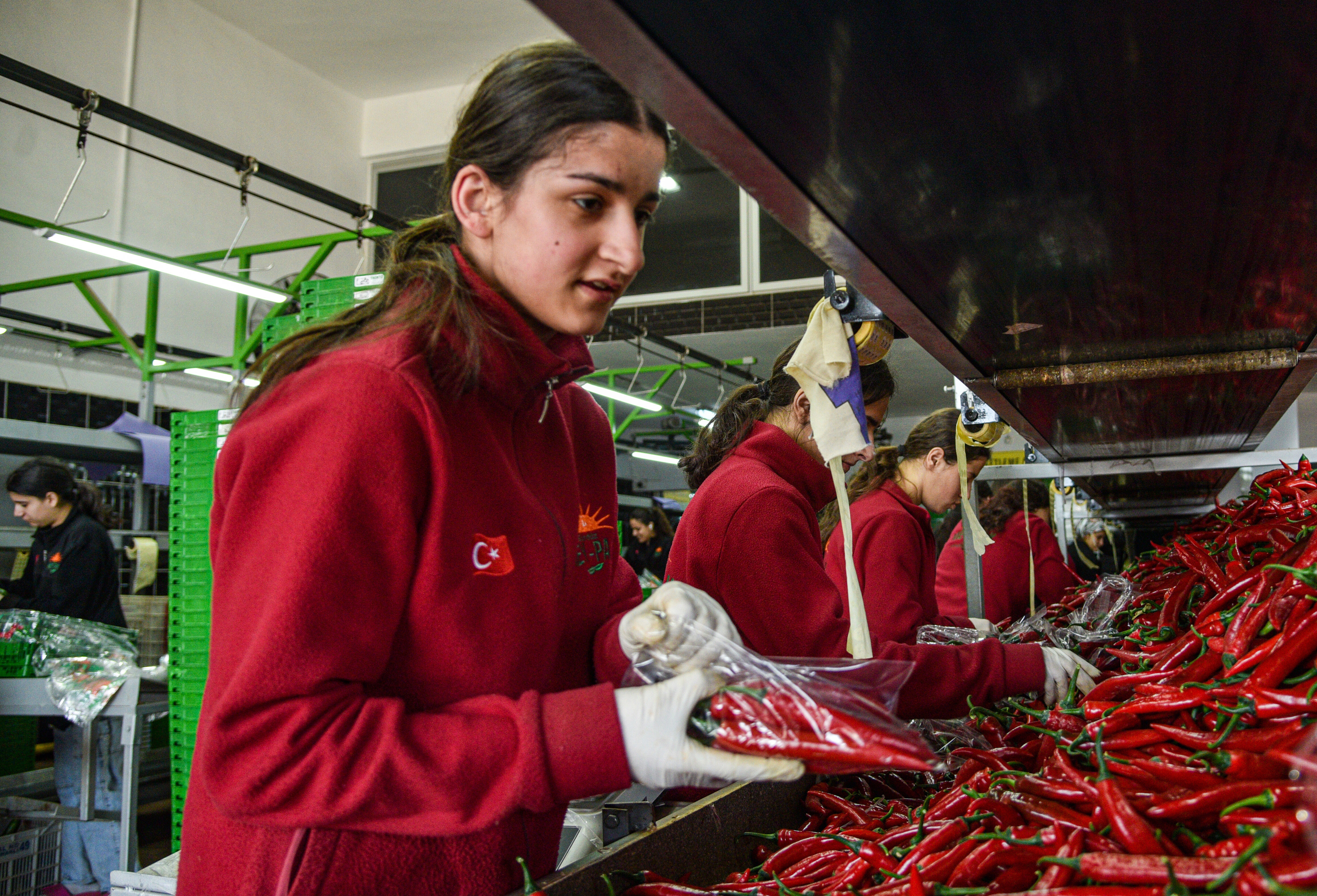 Antalya’da 30 Yıllık Hal’den 64 Ülkeye Dev Ihracat (2)