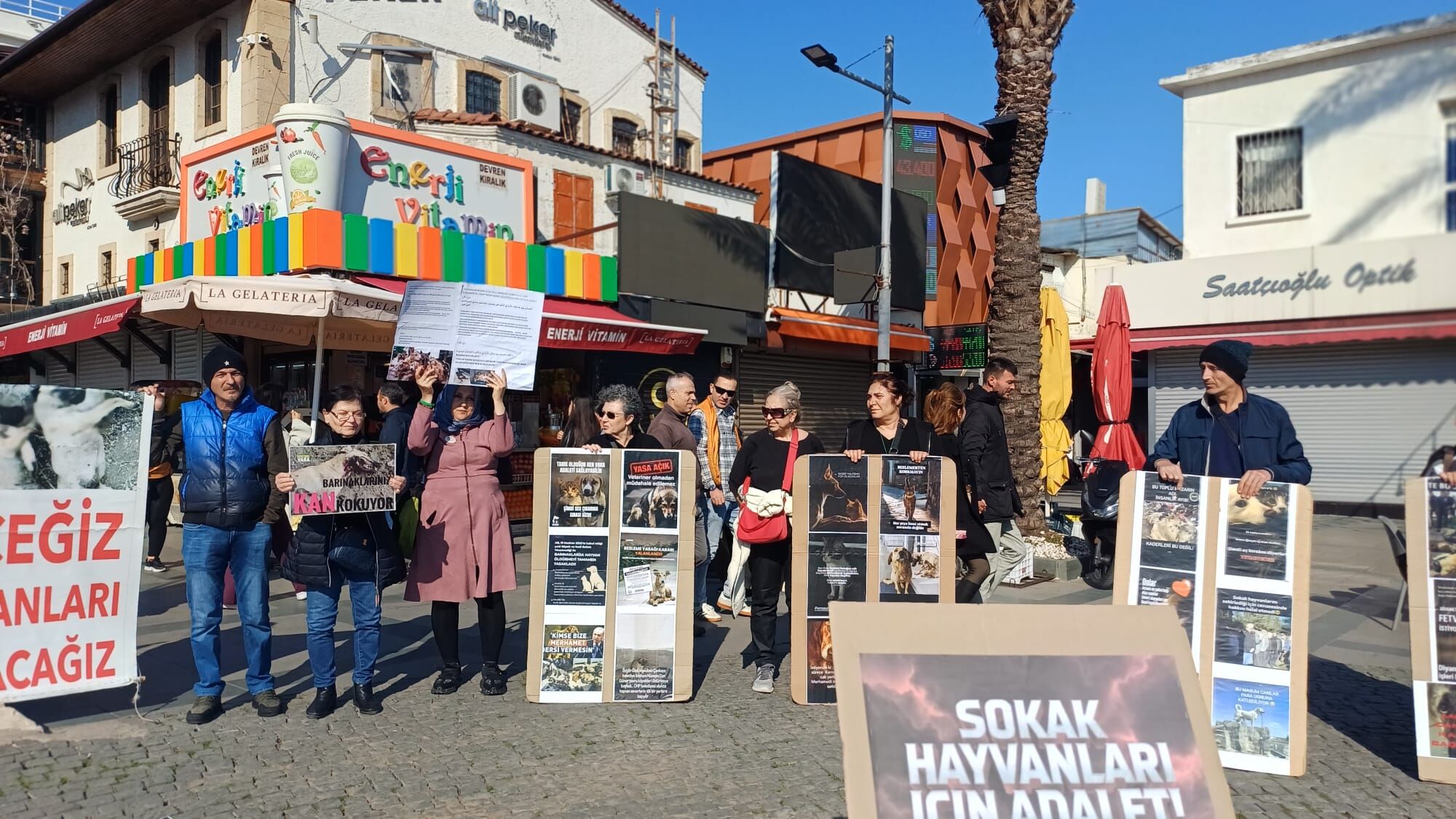 Antalya’da Hayvan Hakları Platformlarından Ortak Basın Açıklaması (4)