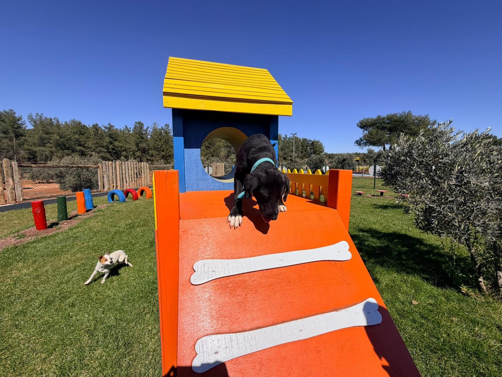 Antalya’da Pati Park Hizmete Açıldı (5)