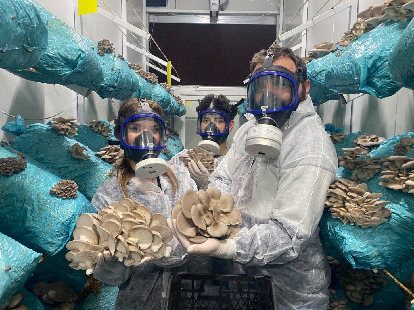 Antalya’daki avukatın girişimi üretime yeni soluk getirdi