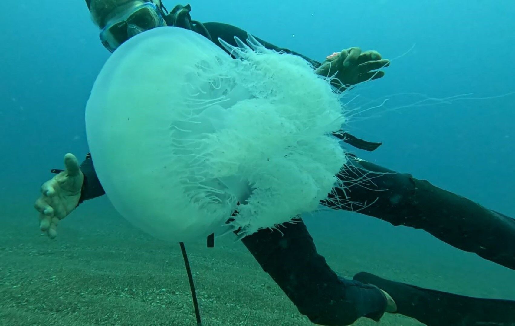 Antalya’daki Balıkçıların Kabusu Oldu (2)