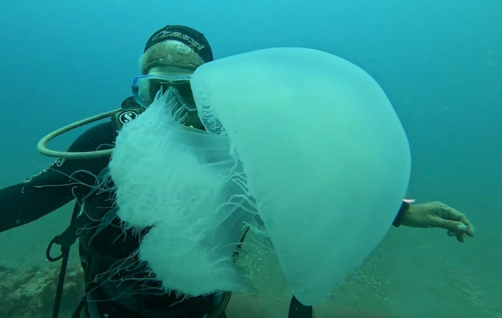 Antalya’daki Balıkçıların Kabusu Oldu (3)