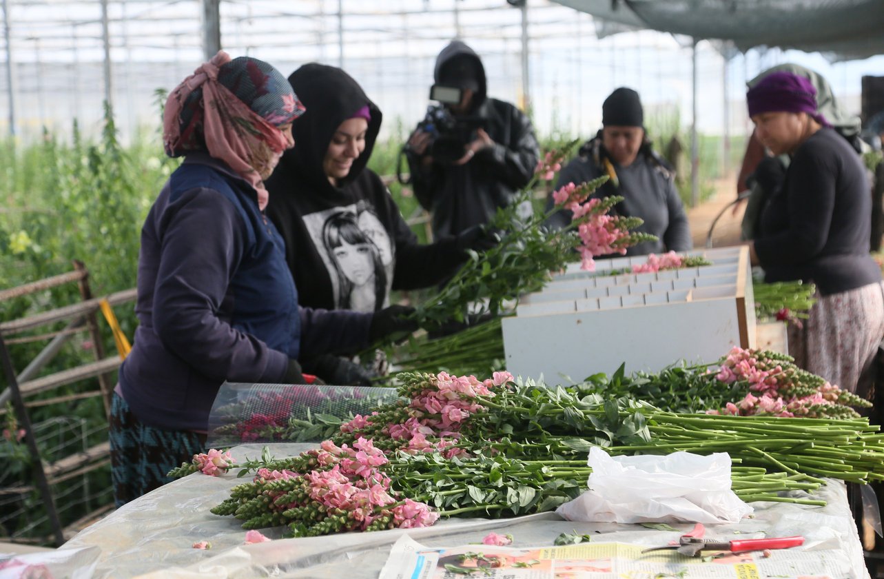 Antalya'dan Avrupa'ya Ilk Ihracat Yapıldı (1)