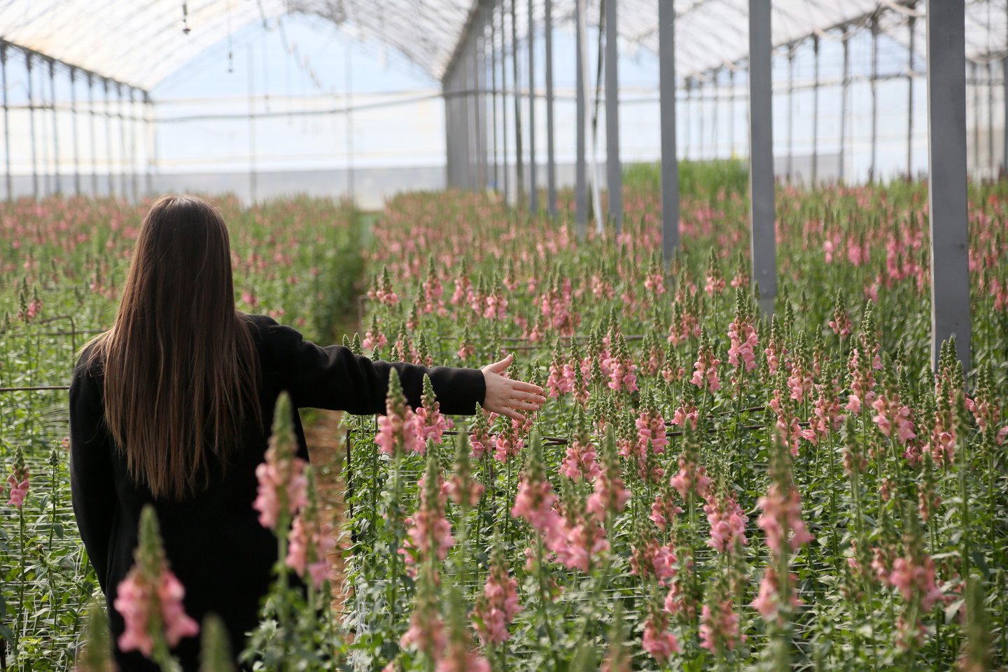 Antalya'dan Avrupa'ya Ilk Ihracat Yapıldı (6)