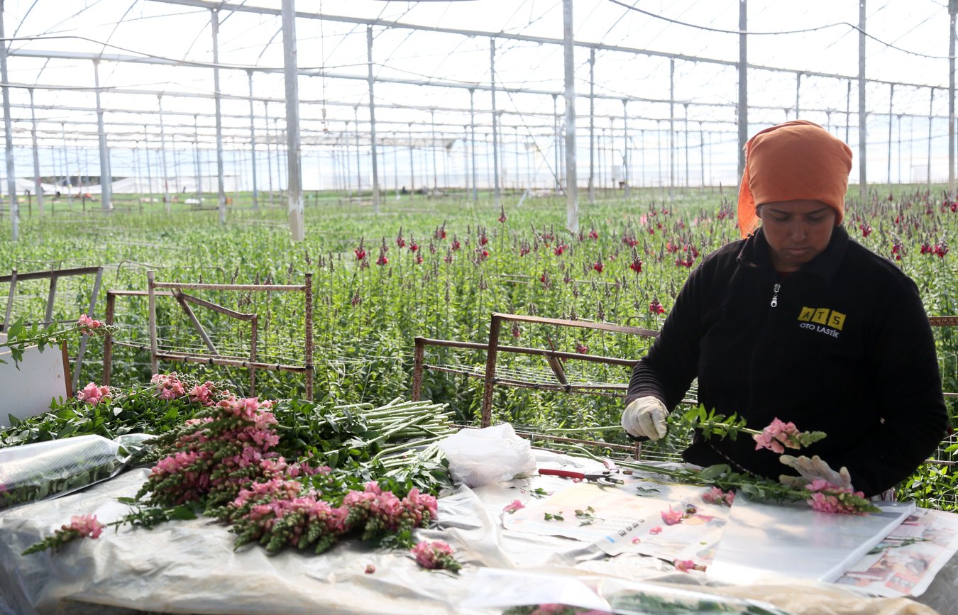 Antalya'dan Avrupa'ya ilk ihracat yapıldı