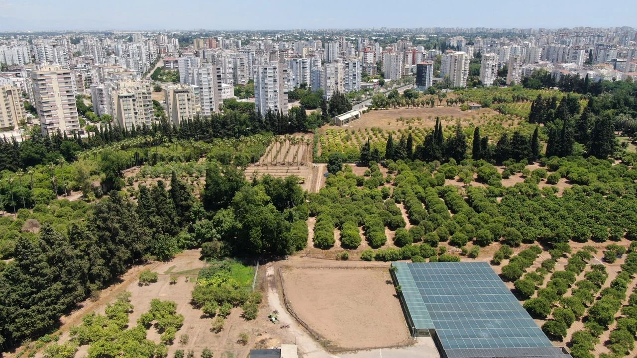 Antalyadan Önemli Uyarı 3,27 Dekar Tarım Arazisi Tehlikede (2)-1
