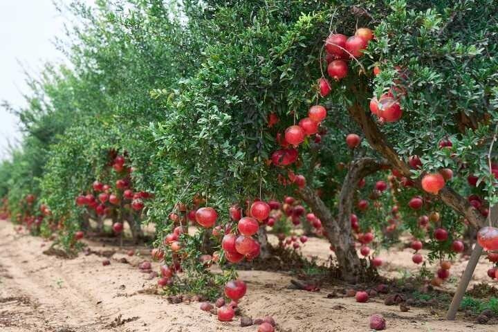 Antalya’dan Önemli Uyarı! Küçük Ayrıntılar Sektörü Baltalar (4)
