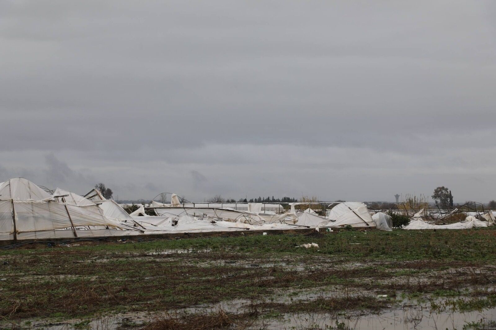 Antalyalı Üreticiden Sitem Dolu Sözler (3)